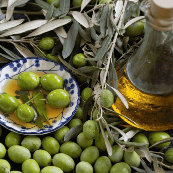 Huile d'Olive de Haute Provence - L'interview du producteur